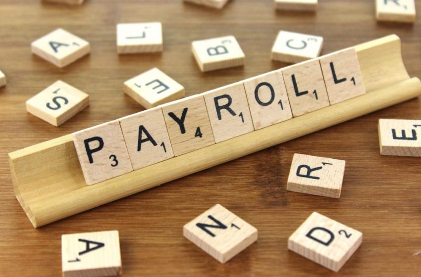  5 Reasons To Opt For A Cashless Payroll Process For Your Small Business