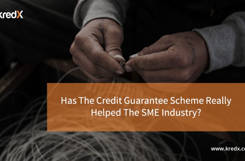  Has The Credit Guarantee Scheme Really Helped The SME Industry?