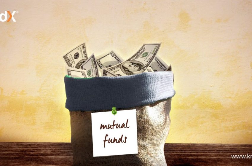  Are Mutual Funds For You?
